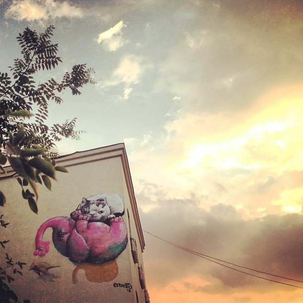 tumblr_mpu2u54lla1qcqltdo1_1280