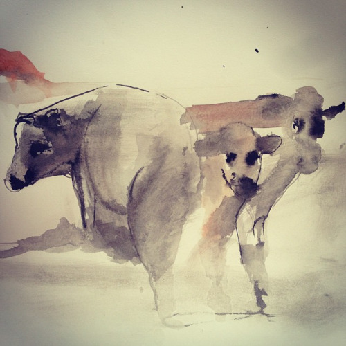 tumblr_nhgqoq2hi01to9s5po1_500