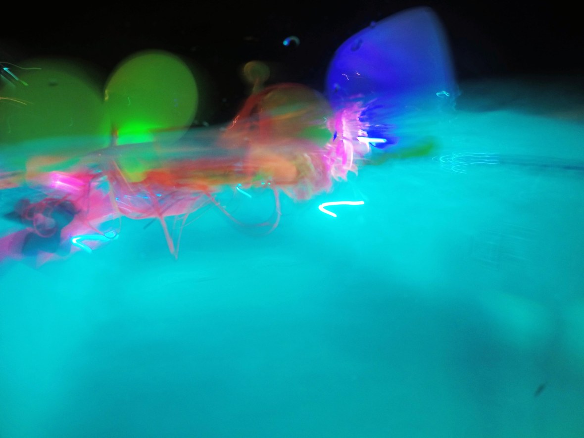 DCIM100GOPROG0028927.