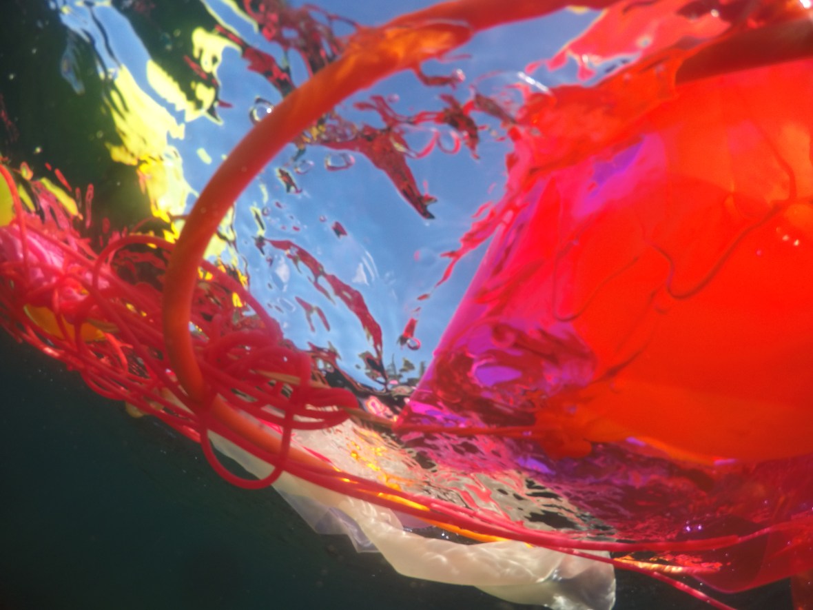 DCIM101GOPROGOPR0083.