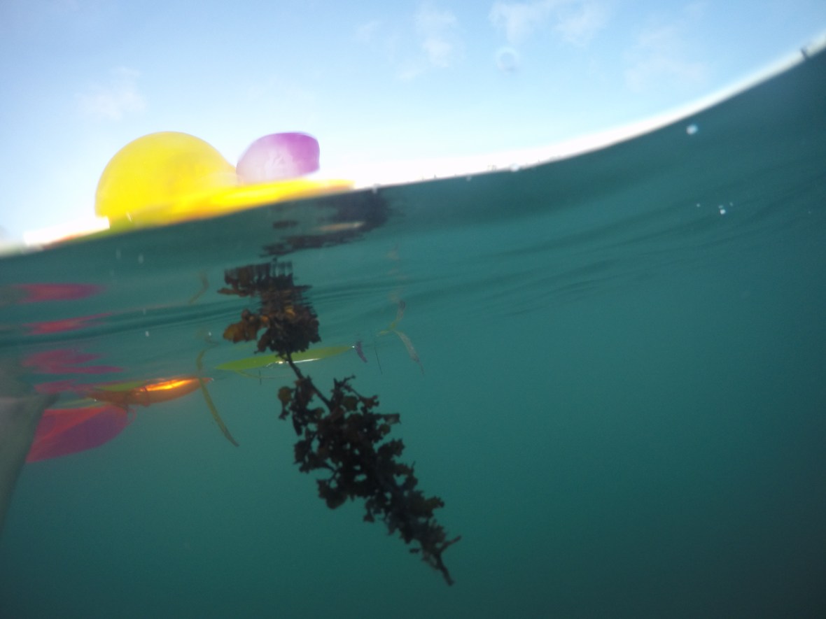 DCIM101GOPROGOPR1047.