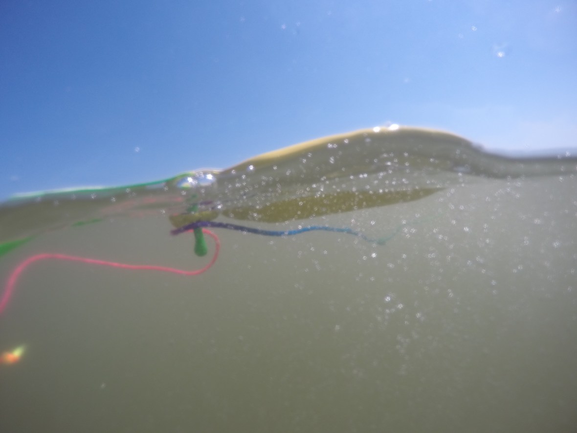 DCIM100GOPROGOPR1825.