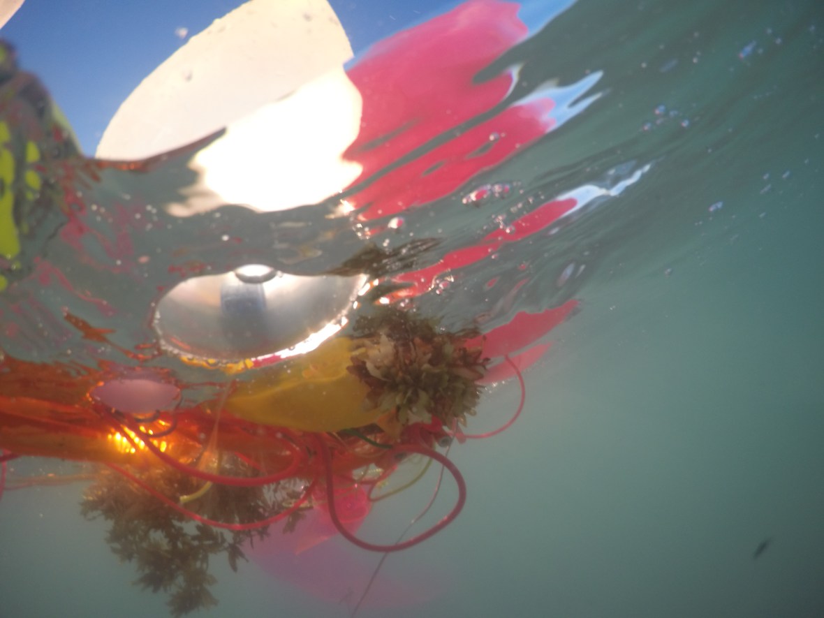 DCIM100GOPROGOPR8442.