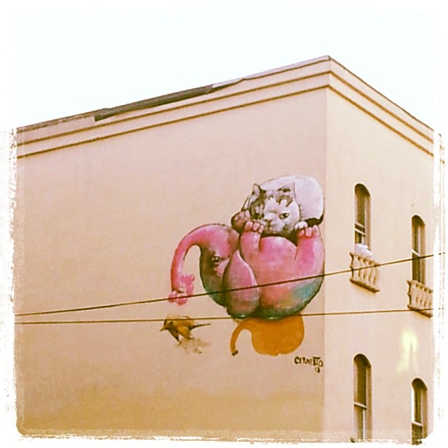 d8904bc6818711e38da5127b18d6ac63_8