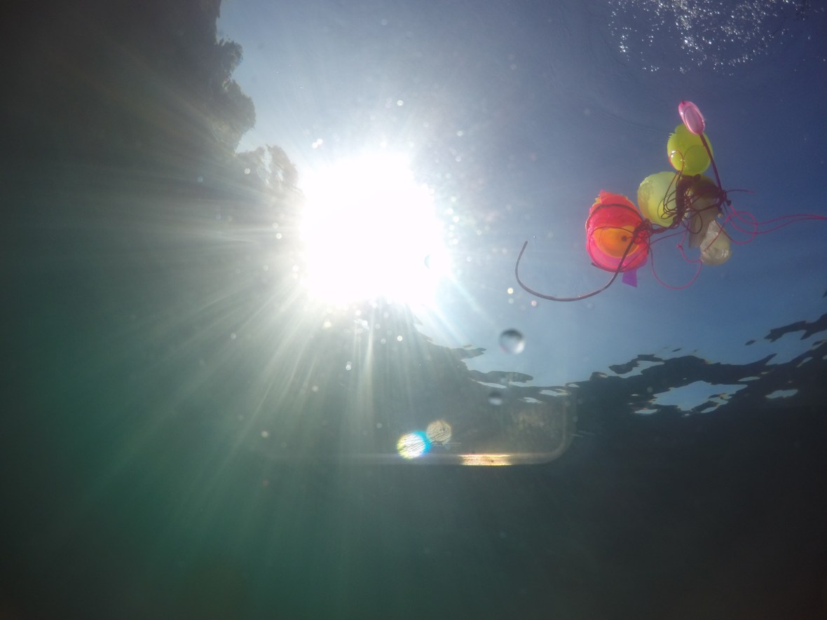 DCIM101GOPROGOPR0117.